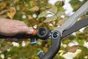 Cisaille à haie inox, GARDENA Energycut 12303-20, 601 mm