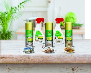 Pulvérisateur anti-insectes volants et rampants KB, 500ml