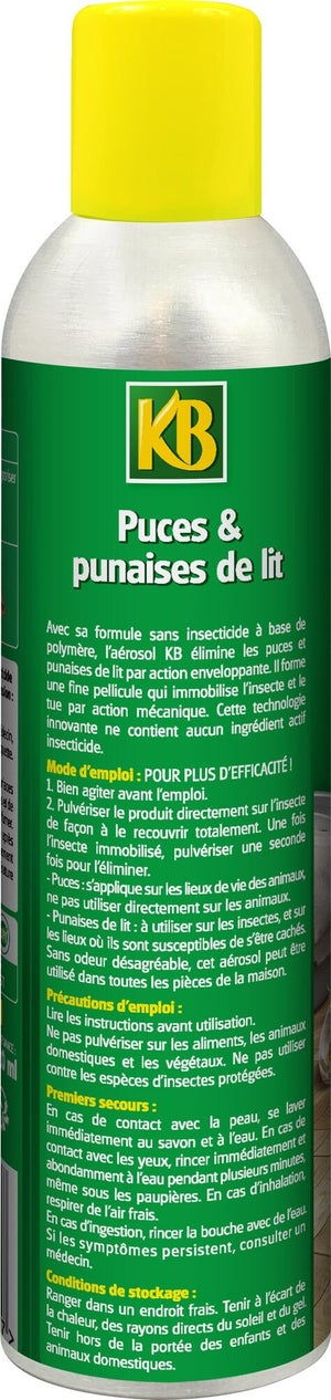 Antipunaises Aérosol Kb, 300 Ml