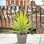 Pot Terre Cuite Deroma Perfetto Grafite Diam.24.5 X L.24.5 X H.19.7 Cm