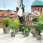 Pot Terre Cuite Deroma Perfetto Grafite Diam.24.5 X L.24.5 X H.19.7 Cm