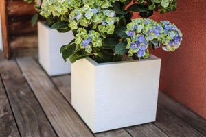 Pot Polypropylène Eda Graphit Up, L.29.5 X L.29.5 X H.29.5 Cm, Blanc Cérusé