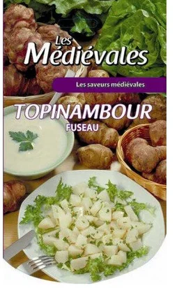 Topinambour fuseau 800 G 5 plants