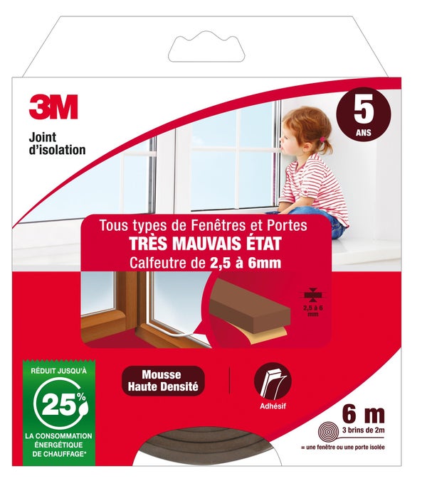 Joint De Porte Et Fenêtre Universel Très Mauvais Etat 3M 2,5 À 6 Mm X 6M Marron