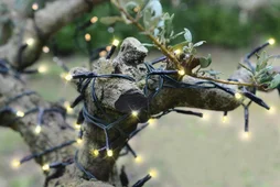 Guirlande exterieur solaire 100 led 1,2v blanc chaud anime 2 fonctions fixe/flash cable vert 10m