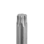 Clé mâle torx T55 DEXTER