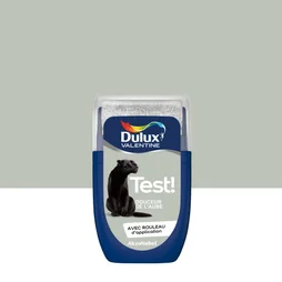 Testeur Peinture Douceur De L'Aube Satiné Crème De Couleur Dulux Valentine 30 Ml