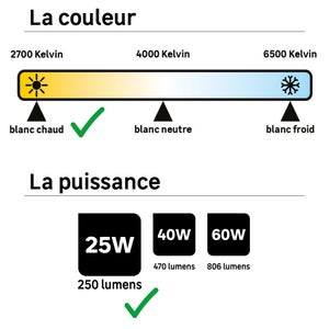 Ampoule led à filament blanc flamme E14 25 W, LEXMAN