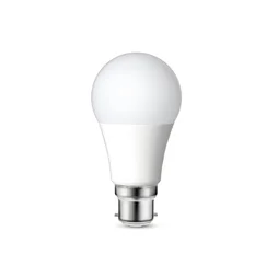 Ampoule led dépoli standard B22 1521 Lm = 100 W blanc chaud, LEXMAN