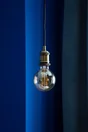 Ampoule décorative led à filament ambré globe 95 mm E27 5.8 W, LEXMAN