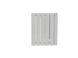 Radiateur électrique à inertie fluide 1000 W EQUATION Luz
