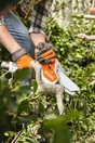 Scie de jardin sur batterie STIHL Gta26, guide de 10 cm