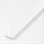 Plat 20 x 3 mm pvc blanc 2,5 m