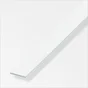 Plat 50 x 3 mm pvc blanc 2,5 m