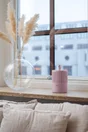 Absorbeur humidité DUO rose