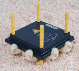 Panneau chauffant pour poussin, 25x25cm