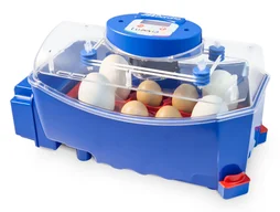 Couveuse automatique 50w-220v borotto lumia 8 oeufs