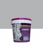 Résine Colorée Color Resinence, Gris Alu, 0.25 L