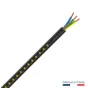 Câble électrique 3G 2.5 mm² U1000R2V, L.50 m noir
