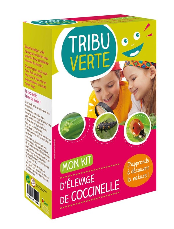 Kit tour à coccinelles