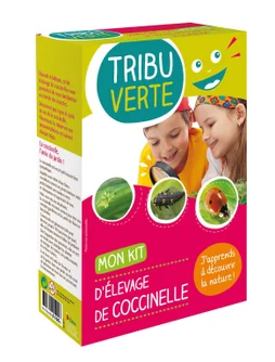 Kit tour à coccinelles