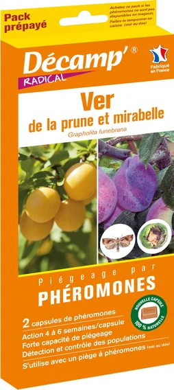 Traitement des insectes ver de la prune DECAMP', 1 piège à phéromones