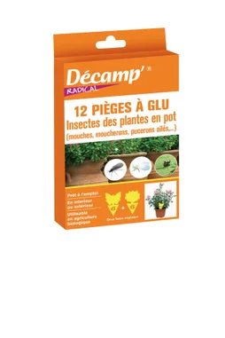 Lot de 12 pièges à glu insectes des plantes en pot