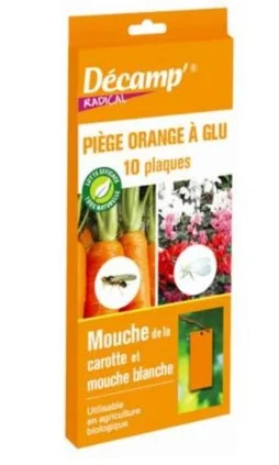 Piege glu mouche carotte/mouche blanche