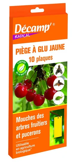 Piege glu mouche arbre fruitier