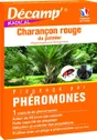 Piège par phéromone anti-charancon rouge Palmier DECAMP'