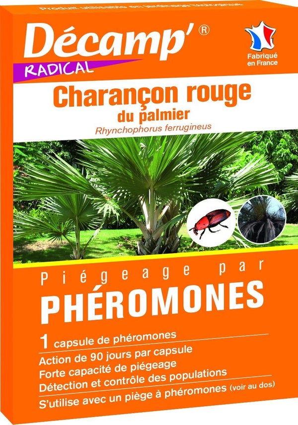 Piège par phéromone anti-charancon rouge Palmier DECAMP'