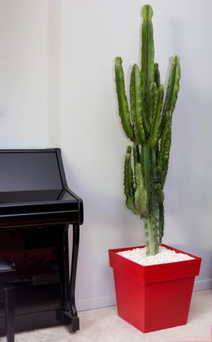 Pot Plastique Toscane, L.39 X L.39 X H.39 Cm, Rouge Rubis