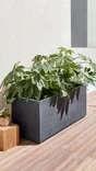 Jardinière Plastique Eda L.99.5 X L.39 X H.43 Cm Anthracite