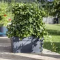 Jardinière Polypropylène À Réserve D'Eau Eda L.79 X L.35 X H.39 Cm Anthracite
