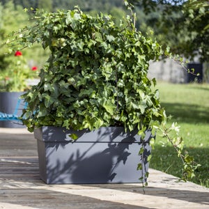 Jardinière Polypropylène À Réserve D'Eau Eda L.79 X L.35 X H.39 Cm Anthracite