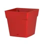 Pot Polypropylène Eda 13641 R.Ru L.17.4 X L.17.4 X H.17 Cm Rouge Rubis