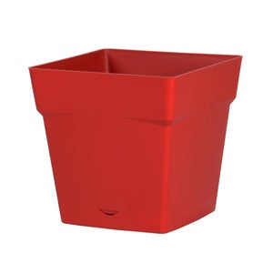 Pot Polypropylène Eda 13641 R.Ru L.17.4 X L.17.4 X H.17 Cm Rouge Rubis