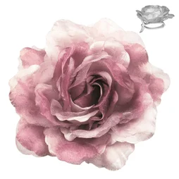Fleur Sur Pince Fleur, Rose