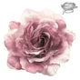 Fleur Sur Pince Fleur, Rose
