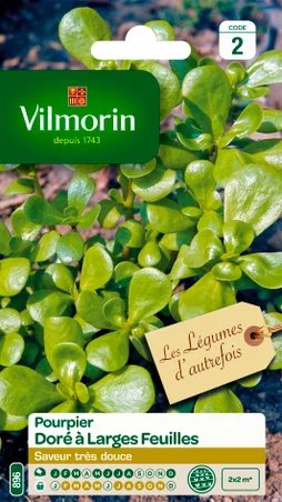 Graine de pourpier doré à larges feuilles, VILMORIN, 3 g