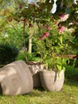 Pergola double en pin traité BURGER l.160 x H.228.5 x P.72 cm