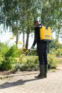 Pulvérisateur À Dos Berthoud 18 L