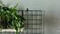 Treillage fixe droite, l.60 x H.120 x P.0.6 cm