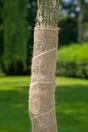 Bande de jute 10m x 22cm LA CORDELINE