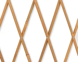 Treillage extensible droit en bois JANY TRADITION, l.150 x H.50 x P.1 cm
