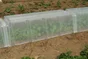 Mini-tunnel de forcage MODUL'O, l39xP.105xH.30 cm