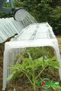 Mini-tunnel de forcage MODUL'O, l39xP.105xH.30 cm