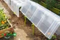 Lot de 10 piquets pour serre tunnel POUSS VERT