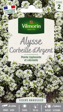 Graine d'alysse corbeille d'argent, VILMORIN, 1 g