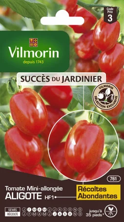 Graines de potager tomate aligote VILMORIN 0.1 g
